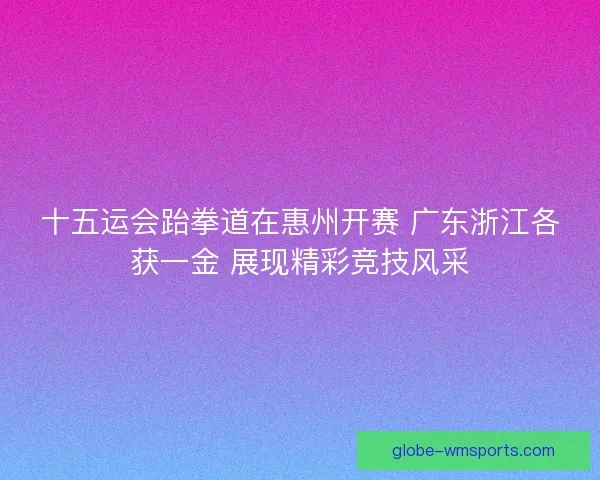 十五运会跆拳道在惠州开赛 广东浙江各获一金 展现精彩竞技风采